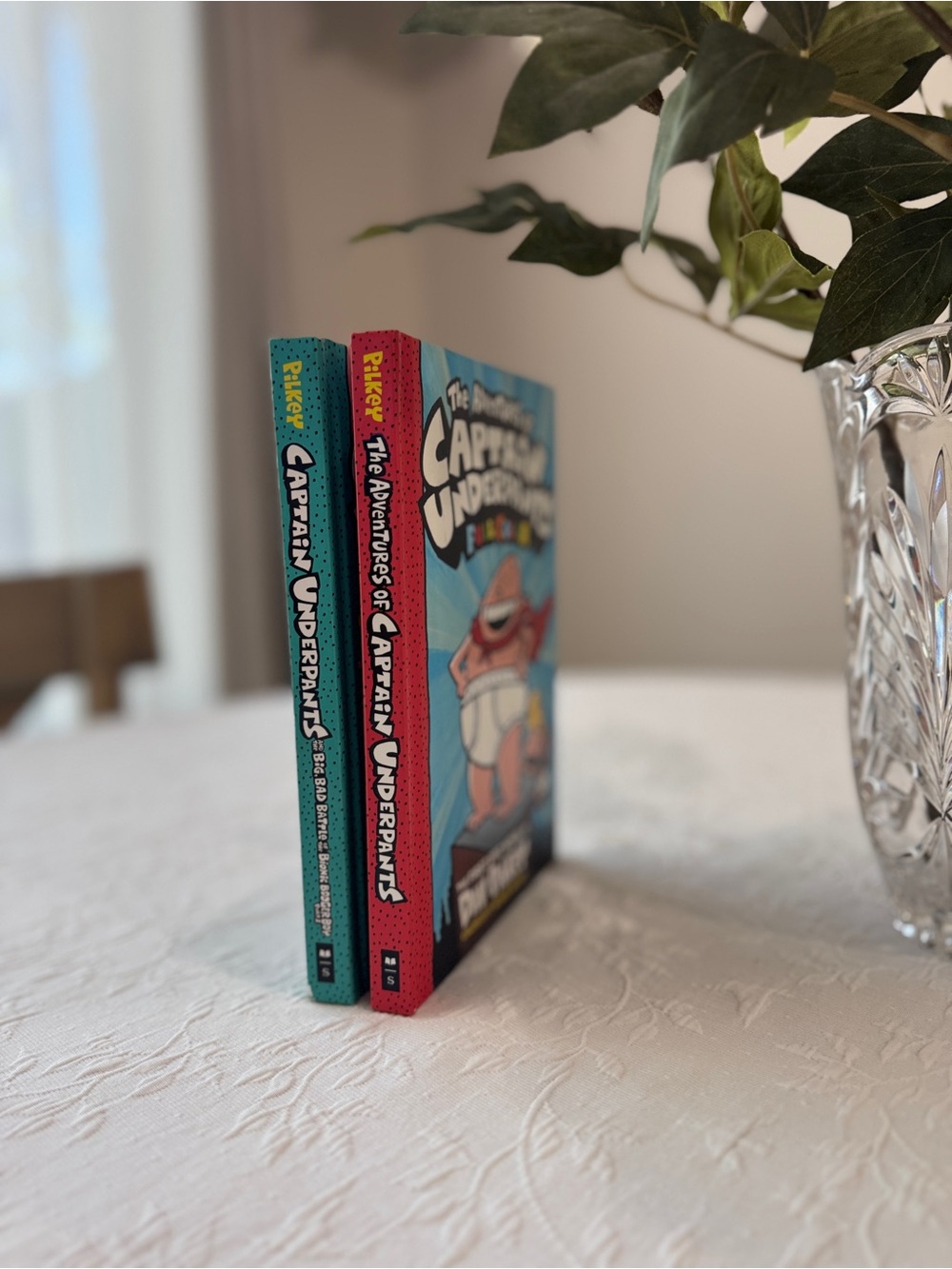 Captain Underpants Book Set 2 books